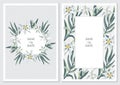 Edelweiss. Greeting card, invitation or vertical banner with flowers of edelweiss.